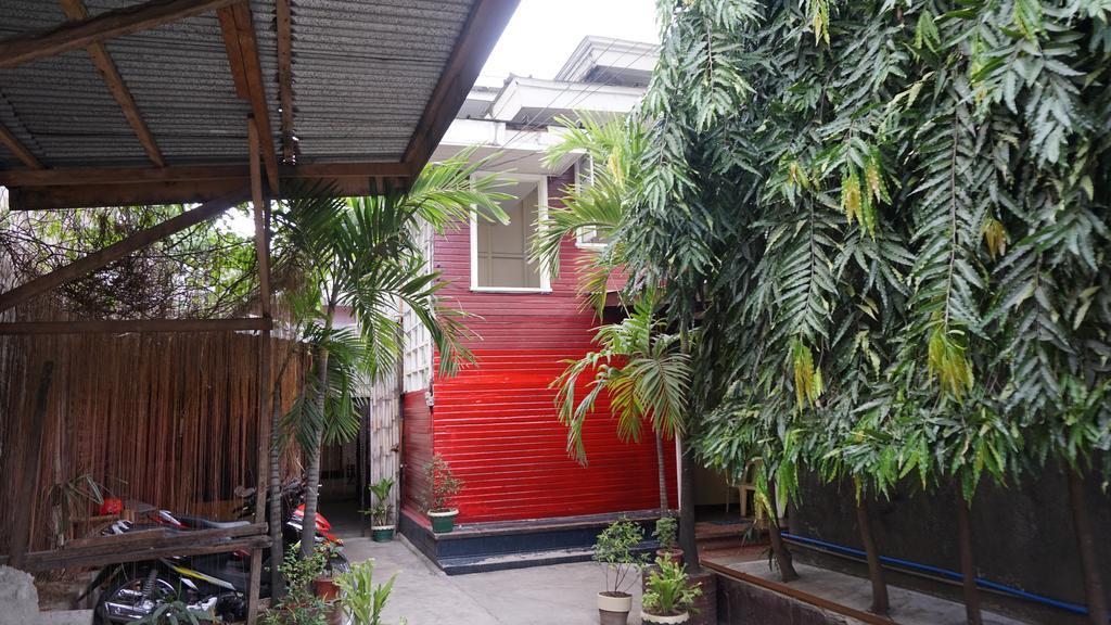 Aysha Lily Cebu